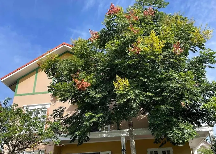 Bich Dao Boutique - Dalat Hotel